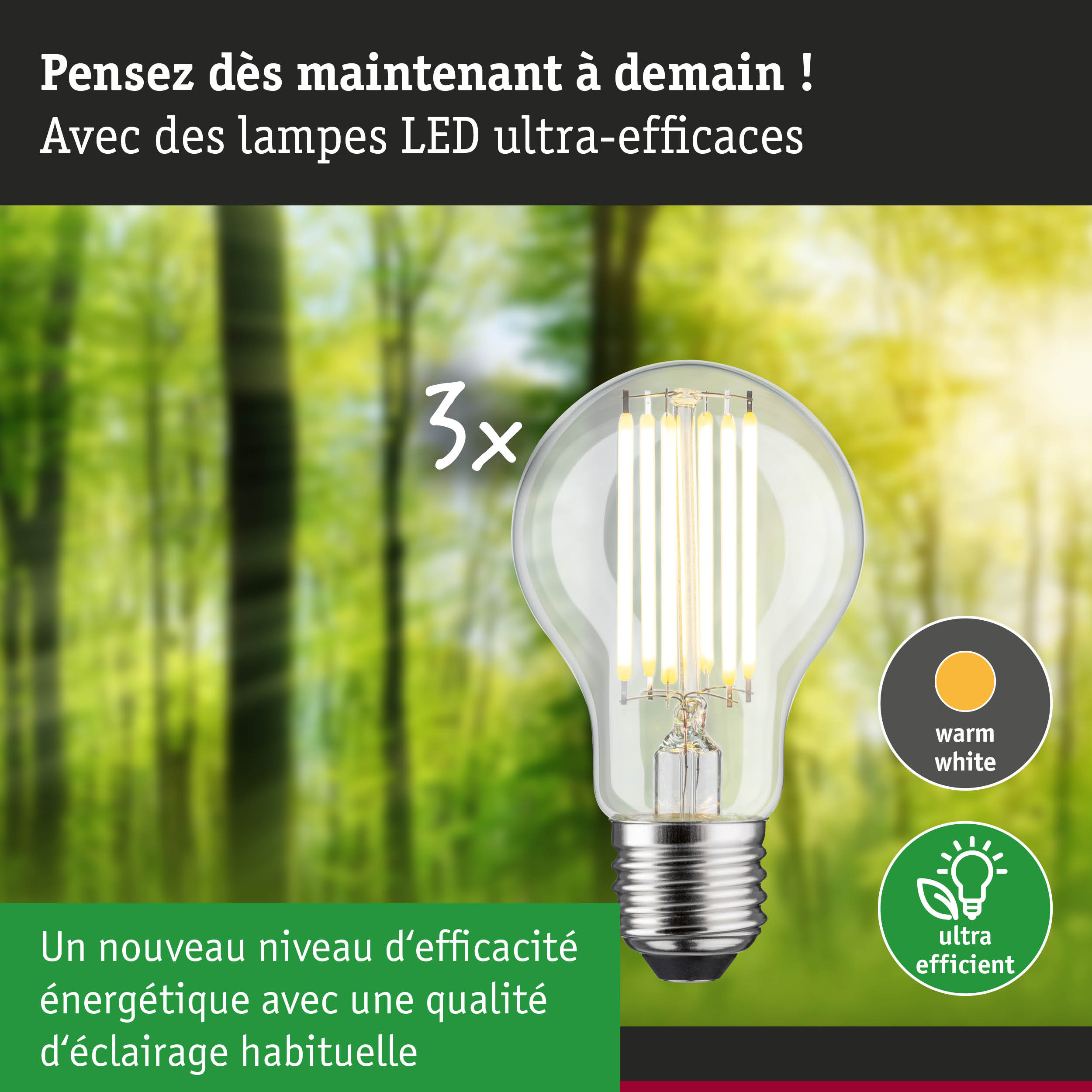 Ampoule LED à lumière blanc chaud avec haute efficacité énergétique pour éclairage durable