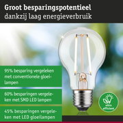 Energiezuinige LED-gloeilamp met helder glas en zilveren voet voor duurzame verlichting