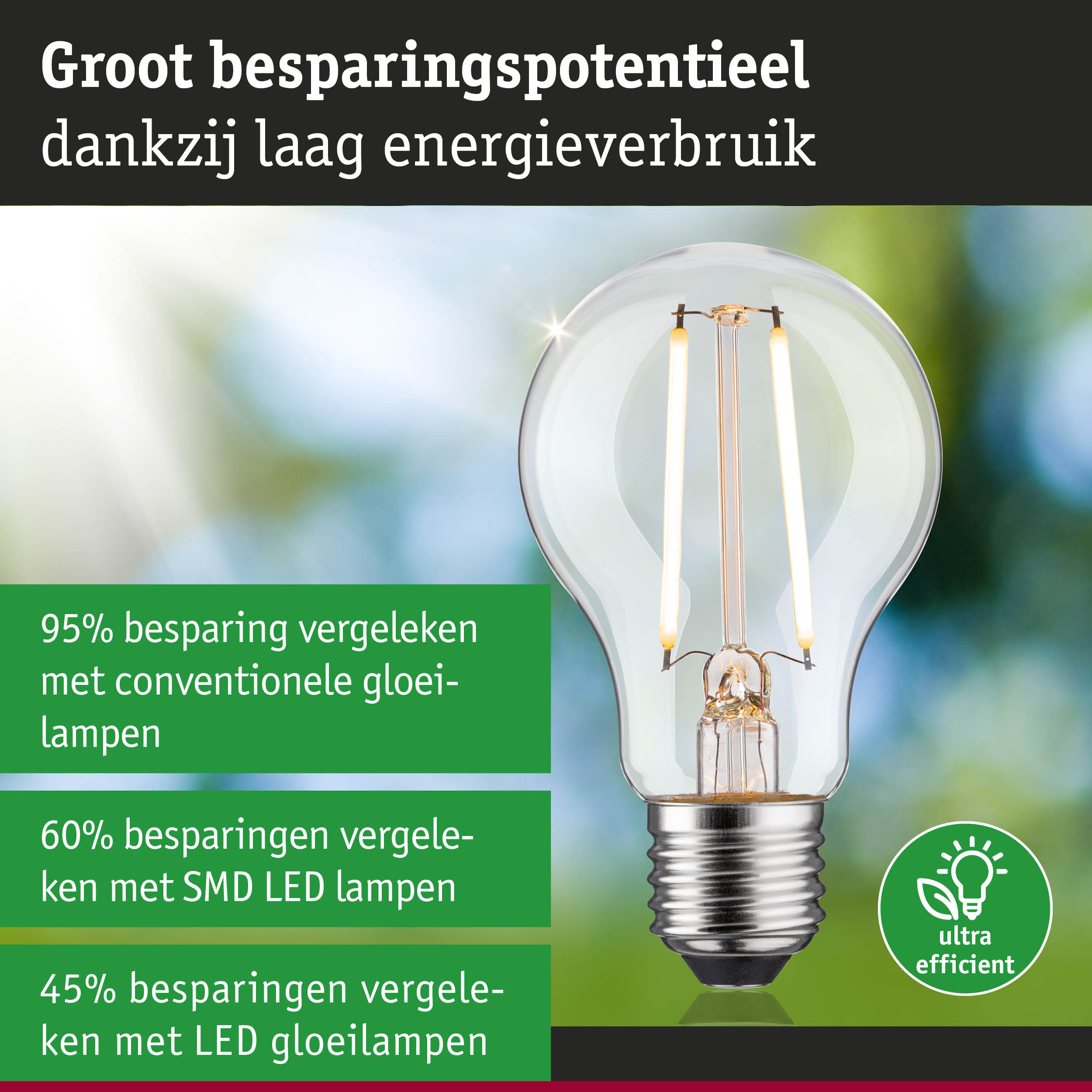 Energiezuinige LED-gloeilamp met helder glas en zilveren voet voor duurzame verlichting
