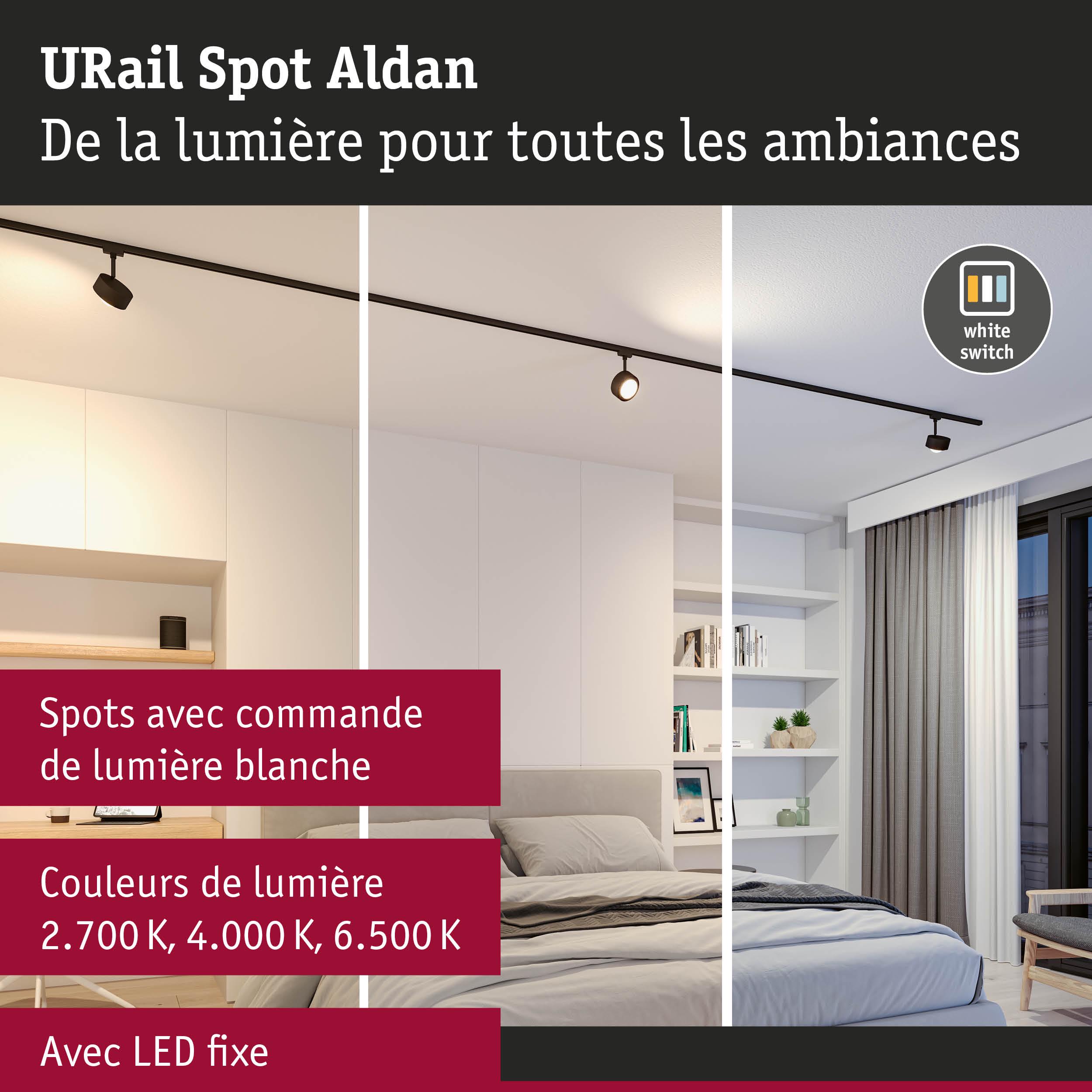Spot URail Aldan noir LED avec lumière blanche réglable pour éclairage intérieur