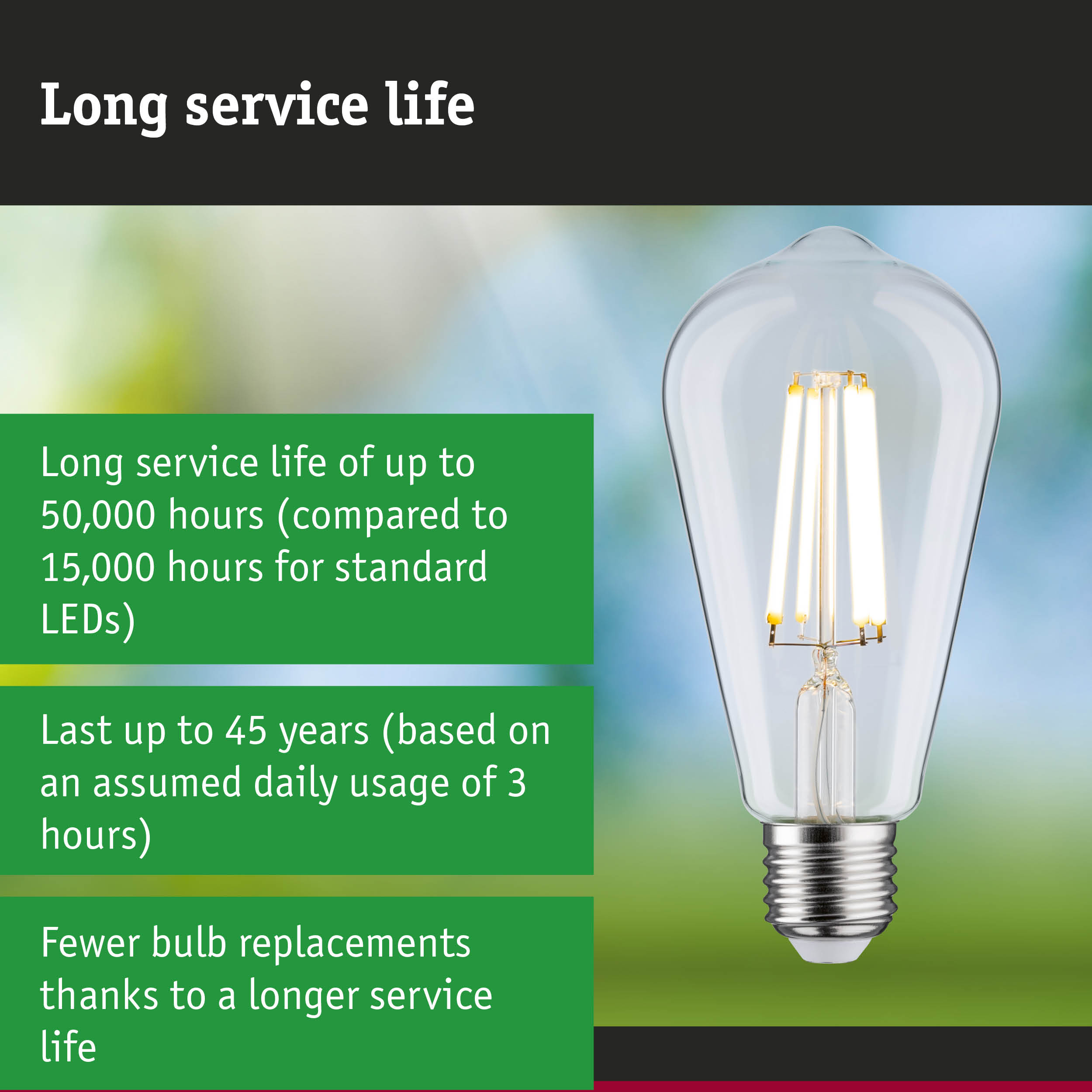 LED filament bulb with 3.5 times longer service life than conventional lamps, energy-saving lighting