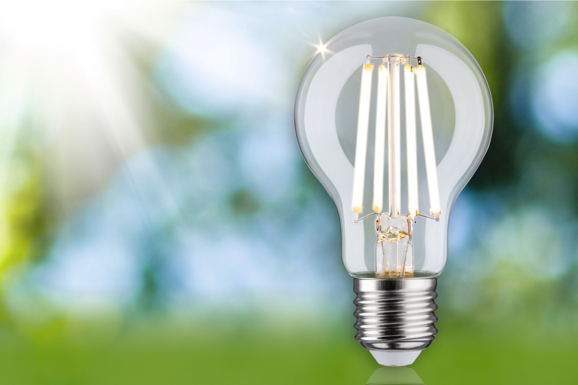 Clear glass LED light bulb with visible filaments against a green and blue blurred background