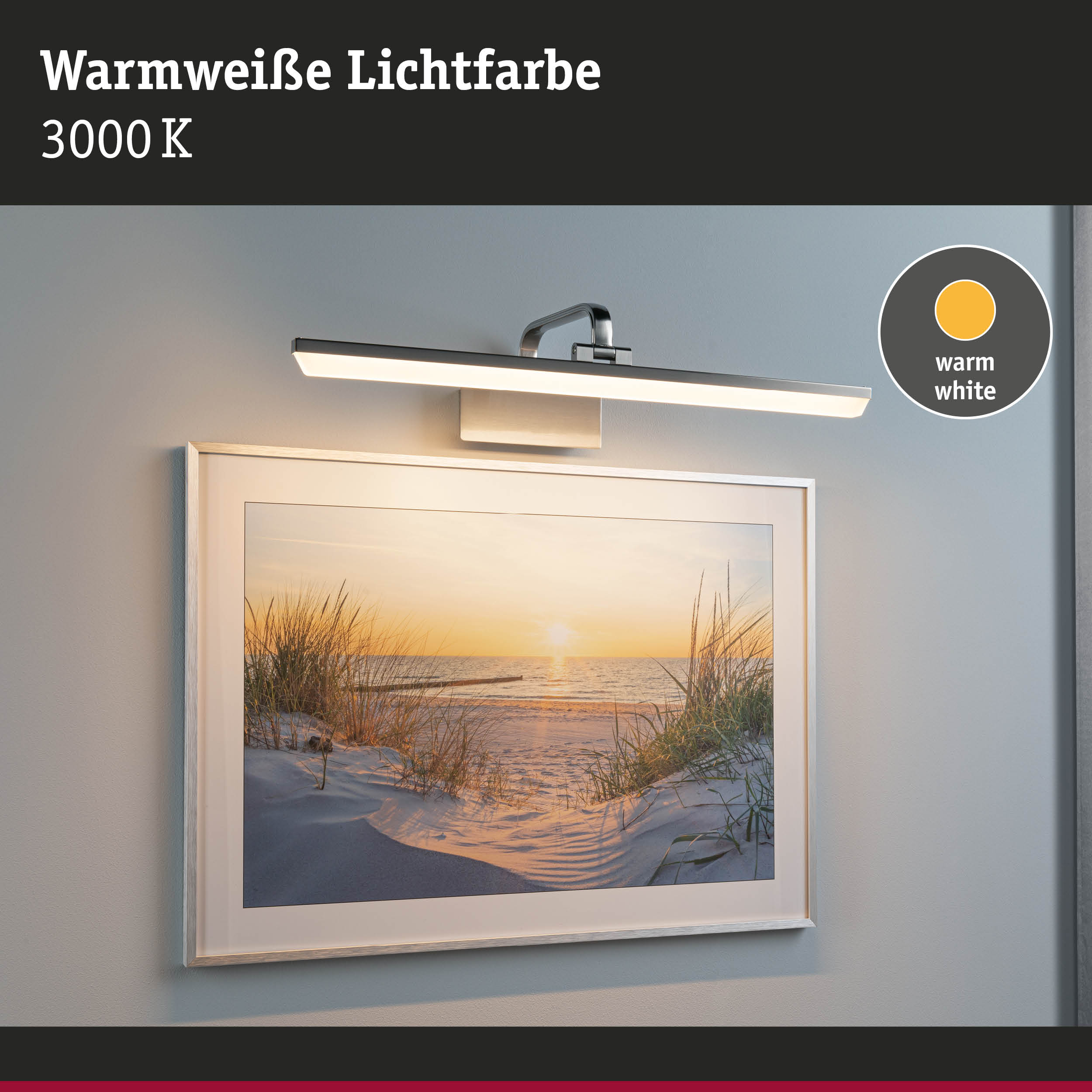 Moderne LED-Bildleuchte aus Metall in Silber mit warmweißer Lichtfarbe 3000K für Wandbilder