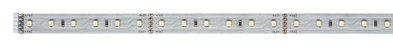 Long LED strip with white LEDs on silver circuit board for versatile lighting applications