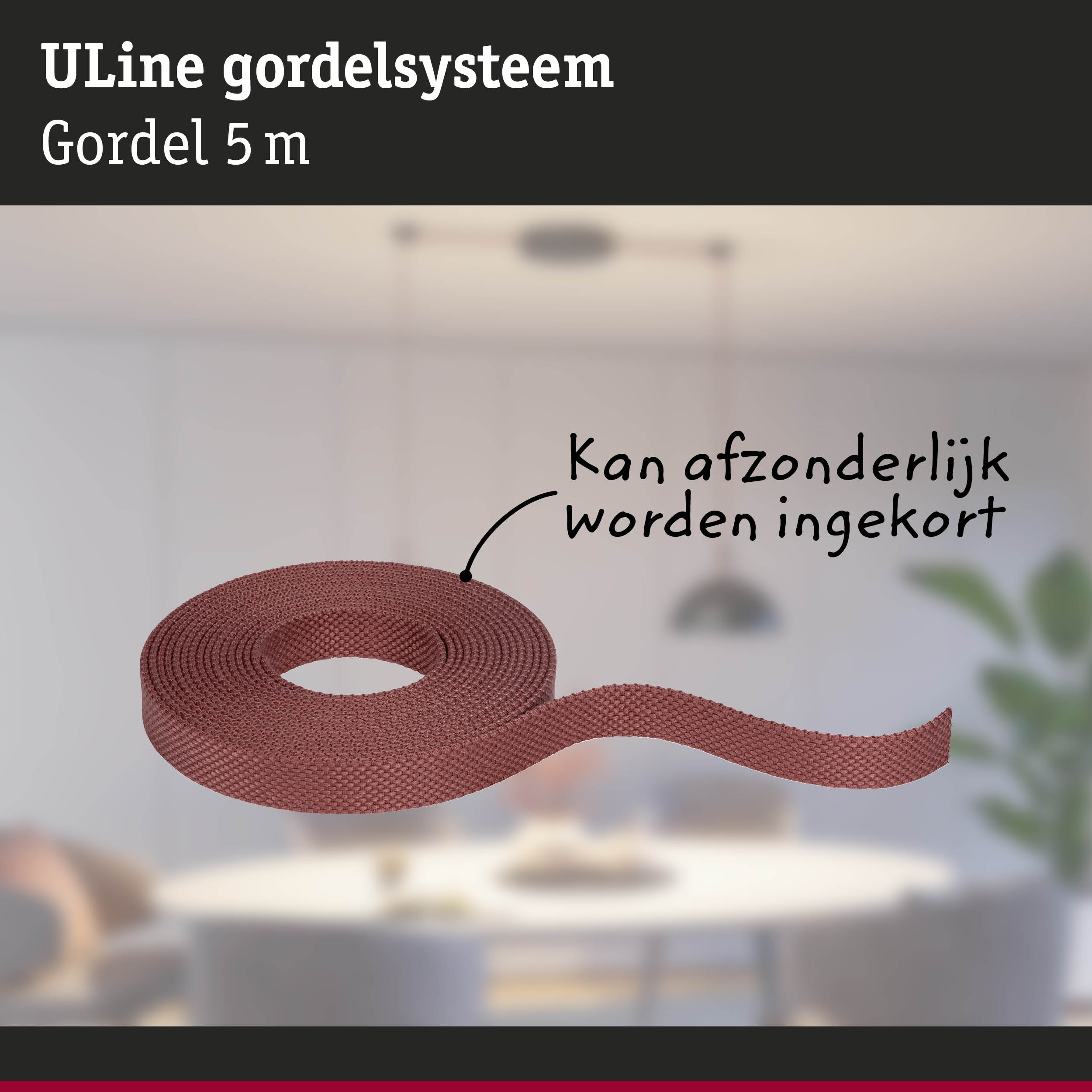 Rode ULine gordel van 5 meter lang, gemaakt van duurzaam materiaal voor diverse bevestigingen