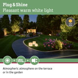 Garden path lit with warm white LED strip lighting and atmospheric outdoor garden lights