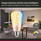 Grande ampoule LED dimmable avec lumière blanche chaude et froide pour éclairage intelligent