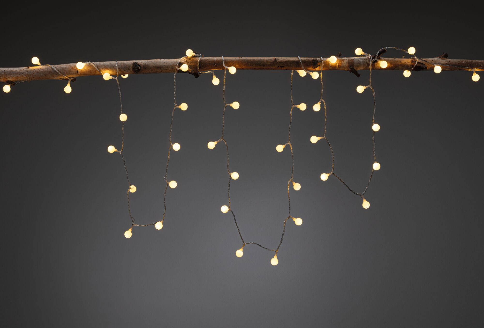 Guirlande LED blanc chaud avec petites ampoules sur branche marron pour décoration chaleureuse.