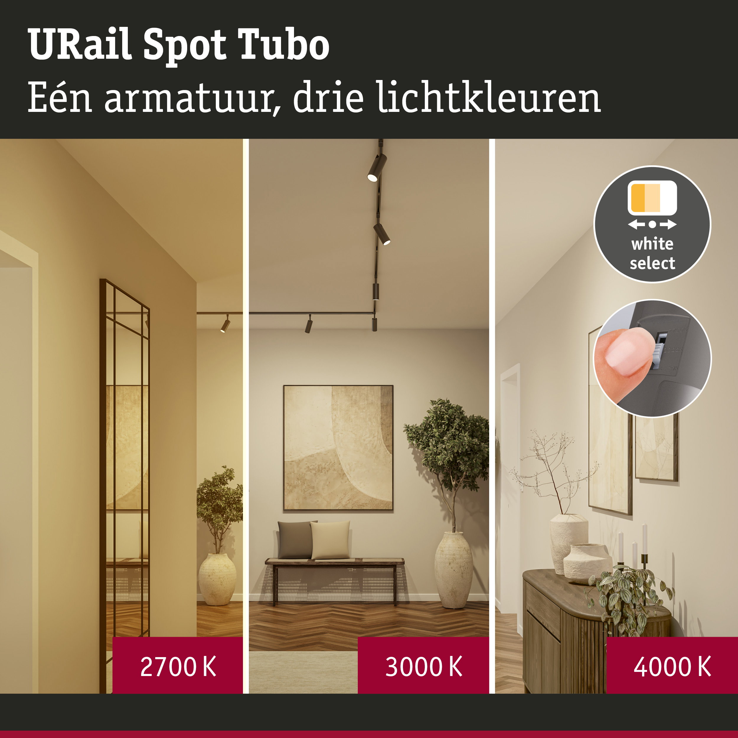 URail Railspot Tubo Losse spot 250lm 3,3W White Select 230V Titaanium