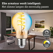 Grote gloeilamp met gele LED-spiralefilament in moderne eetkamer met dimbare, instelbare witte verlichting
