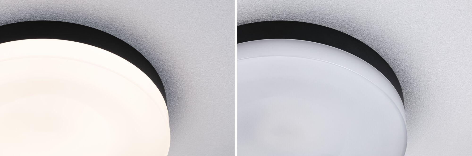 Runde Deckenleuchte mit schwarzem Metallrahmen und weißem Diffusor, modernes LED-Licht für Wohnräume