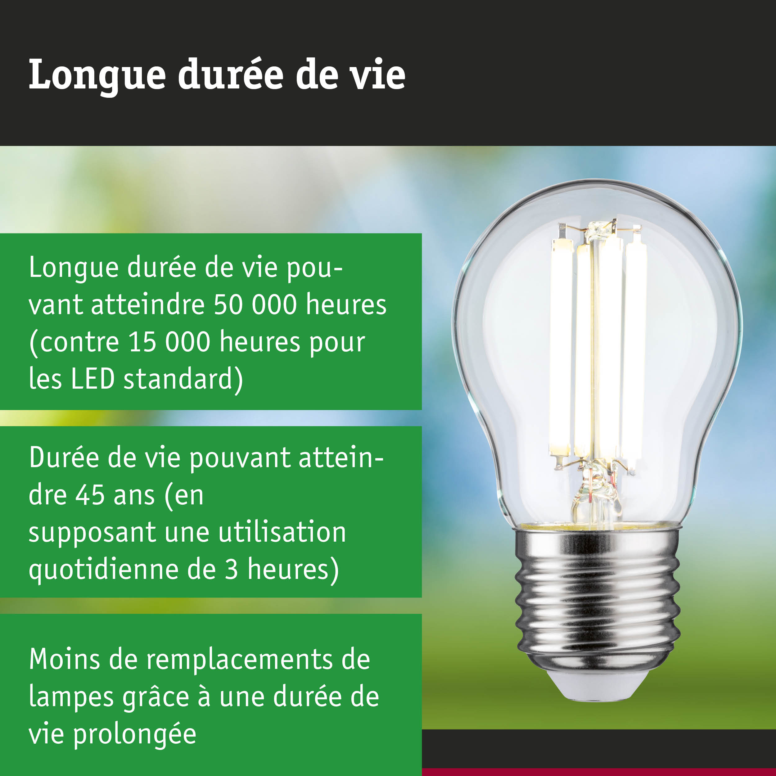 Ampoule LED à longue durée de vie tenue en main, éclairage LED économique et lampe durable