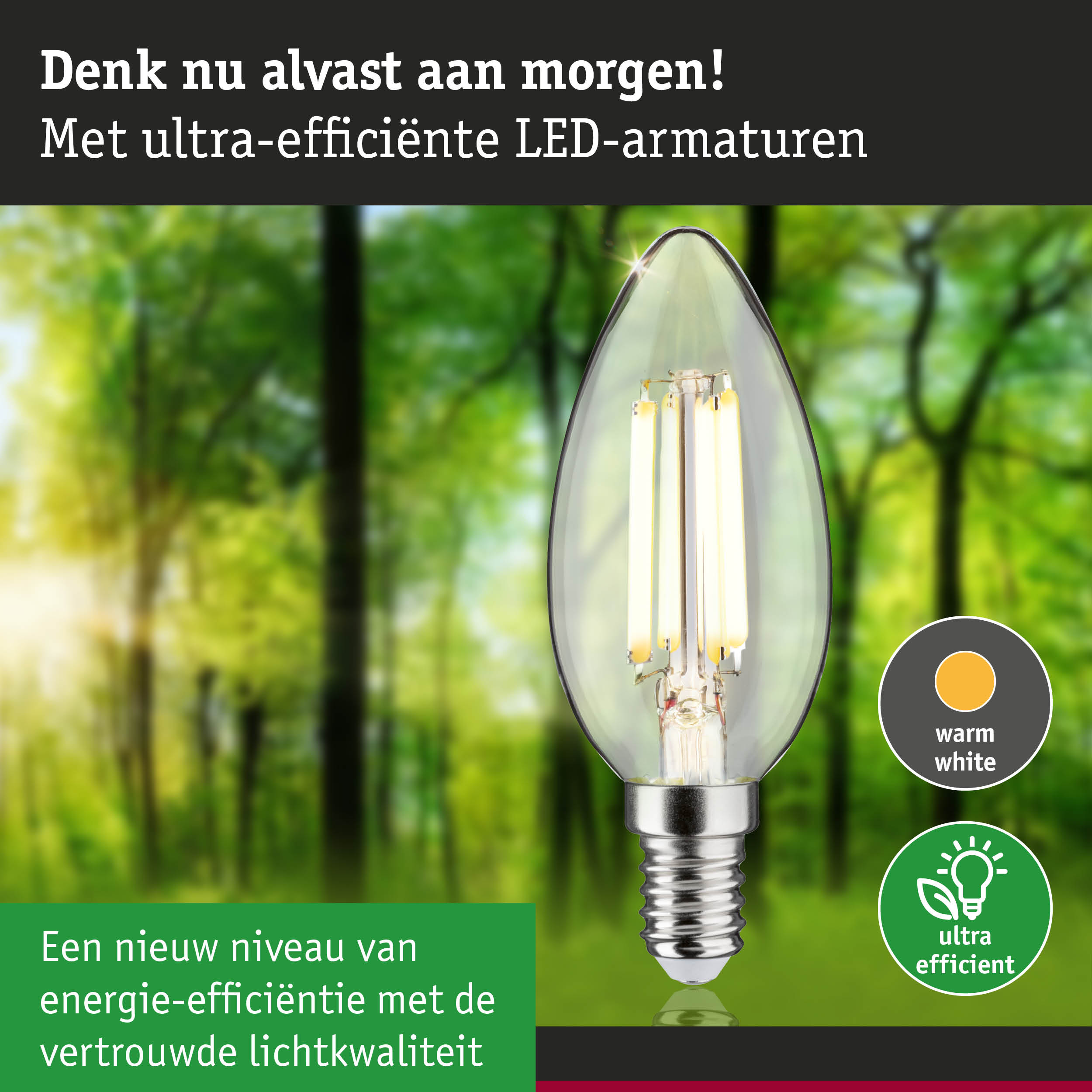 Transparante kaarsvormige LED-lamp met warm wit licht en ultra-efficiënte energiebesparing