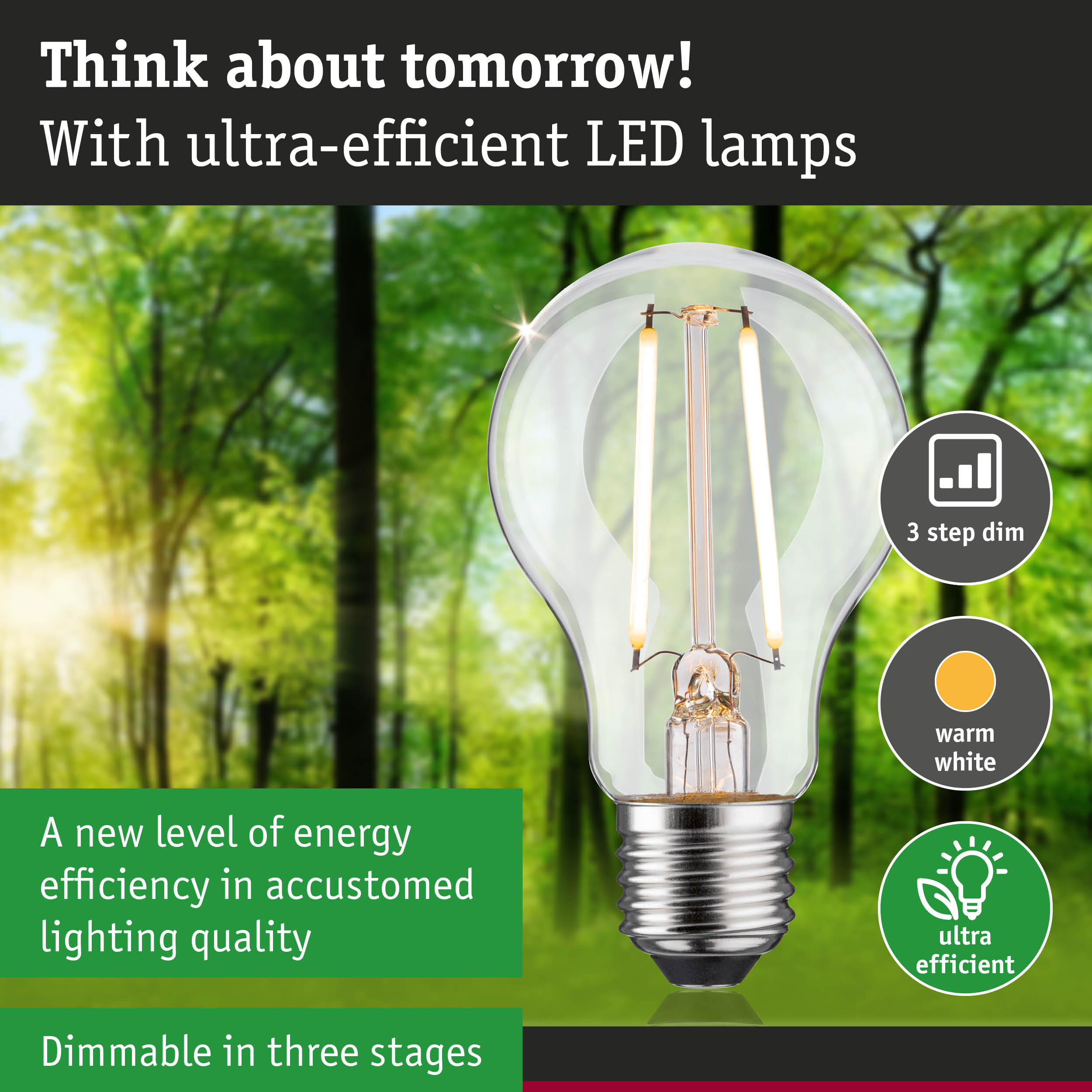 Clear LED bulb with warm white light and 3-step dimming for energy-efficient lighting solutions