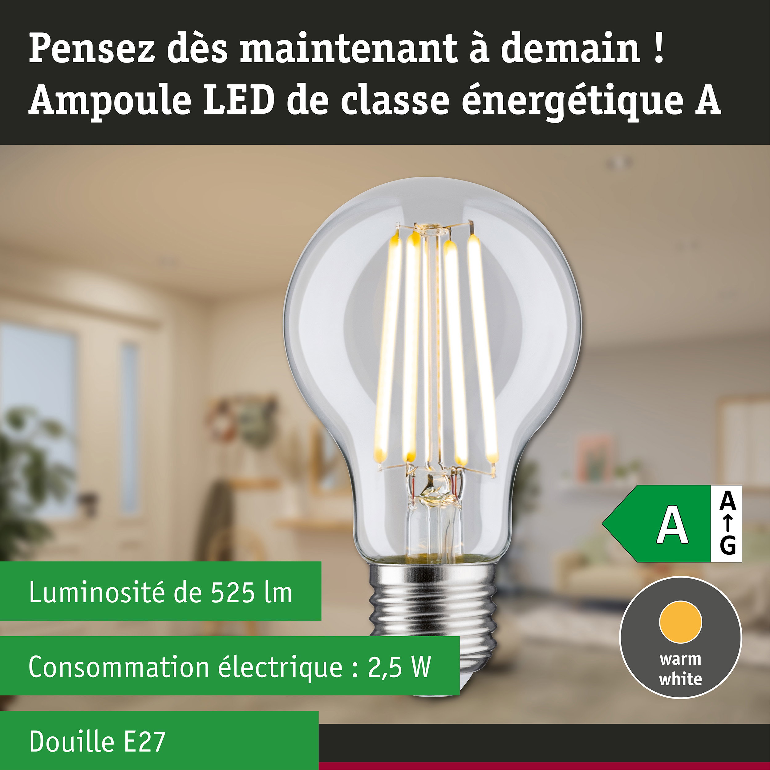 Ampoule LED claire avec lumière blanc chaud et ultra-efficace sur fond de forêt verte
