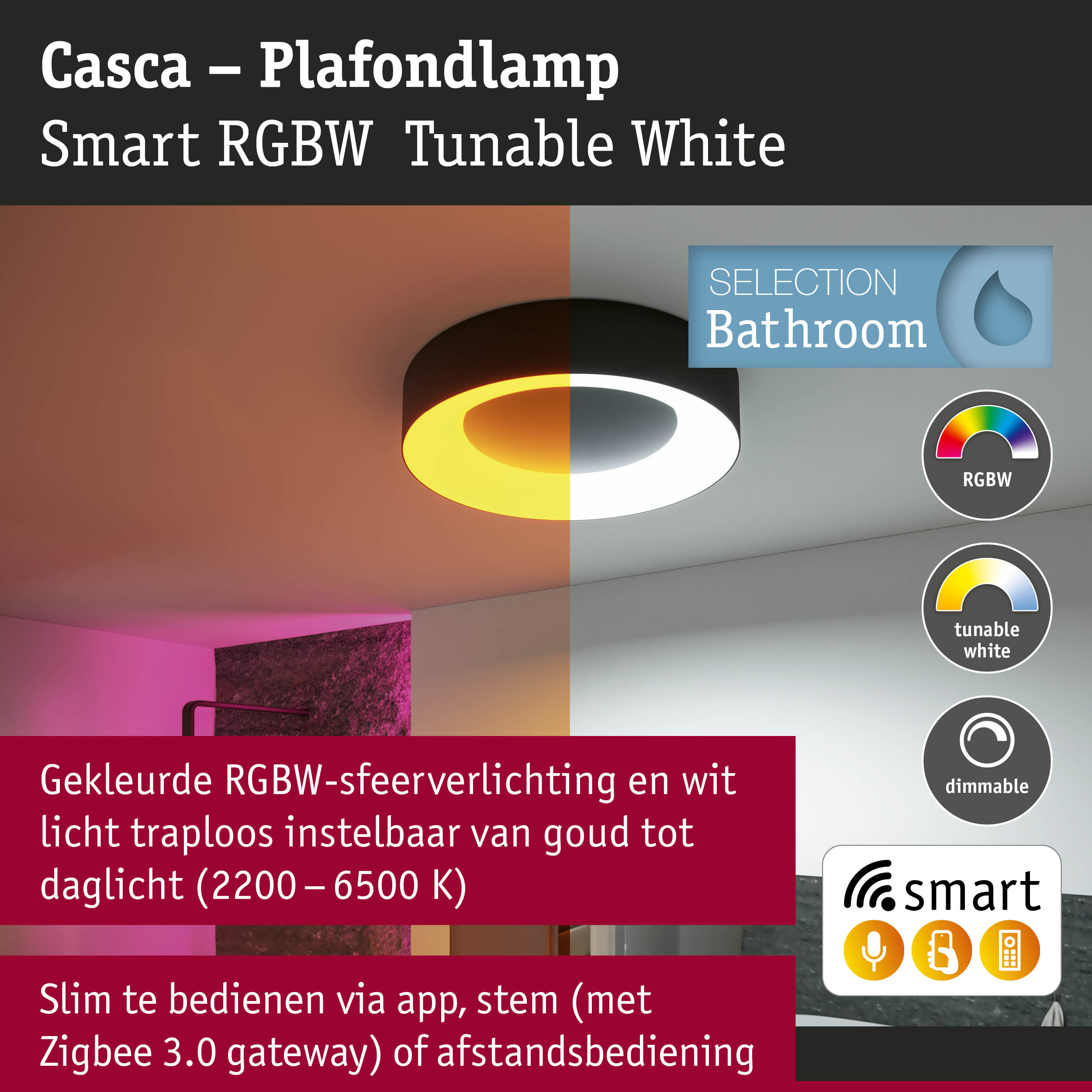 Casca zwarte plafondlamp met instelbaar RGBW-licht voor slimme badkamerverlichting