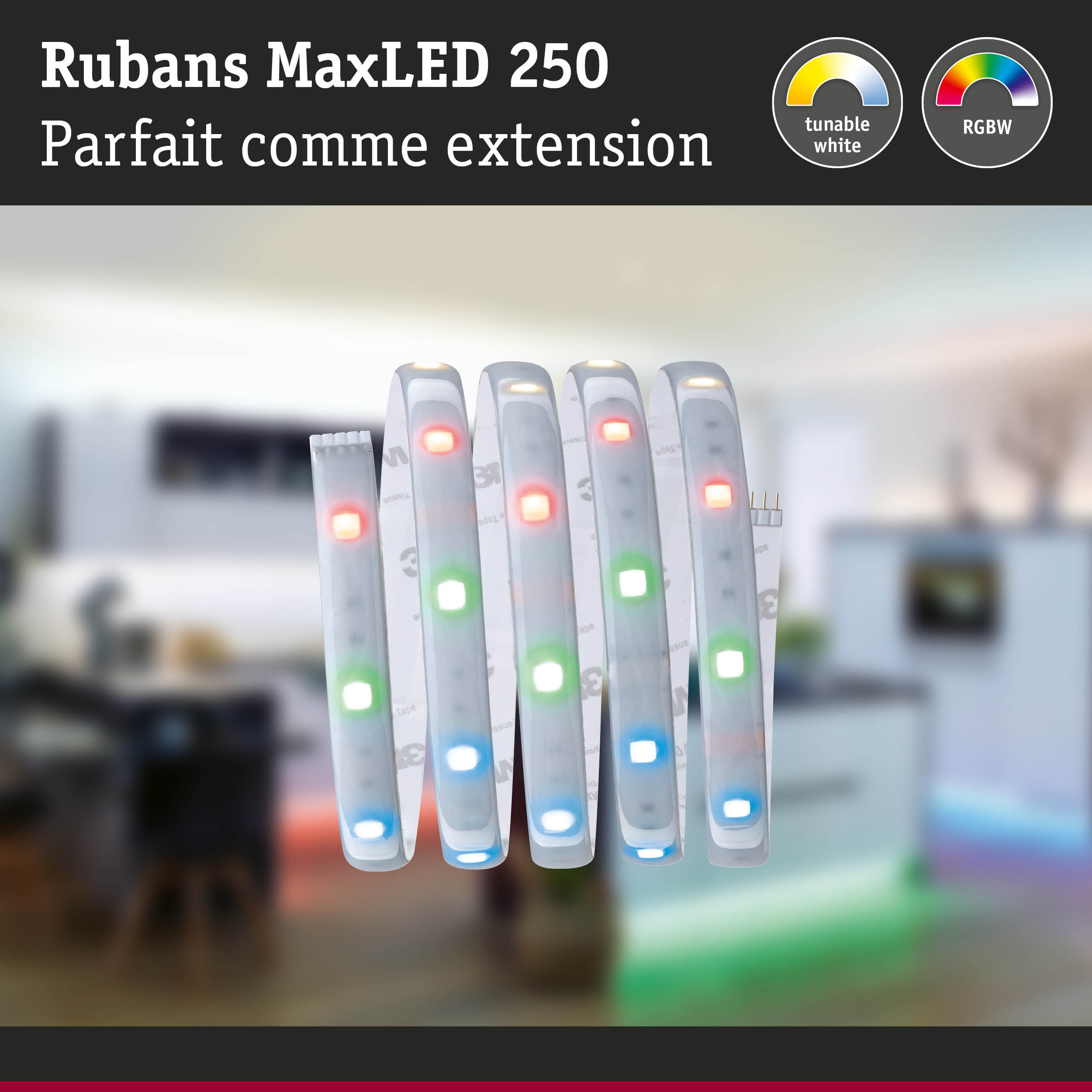 Bandeaux LED flexibles RGBW avec blanc réglable pour un éclairage intérieur personnalisé