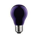 Ampoule avec verre violet et base métallique argentée, lampe LED décorative pour intérieur