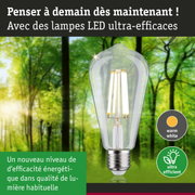 Ampoule LED claire avec lumière blanc chaud et ultra-efficace sur fond de forêt verte