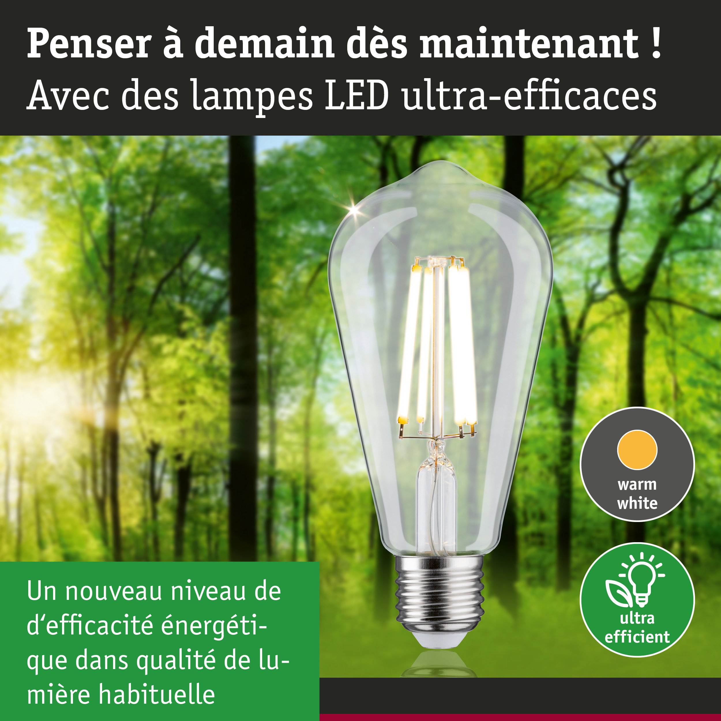 Ampoule LED claire avec lumière blanc chaud et ultra-efficace sur fond de forêt verte