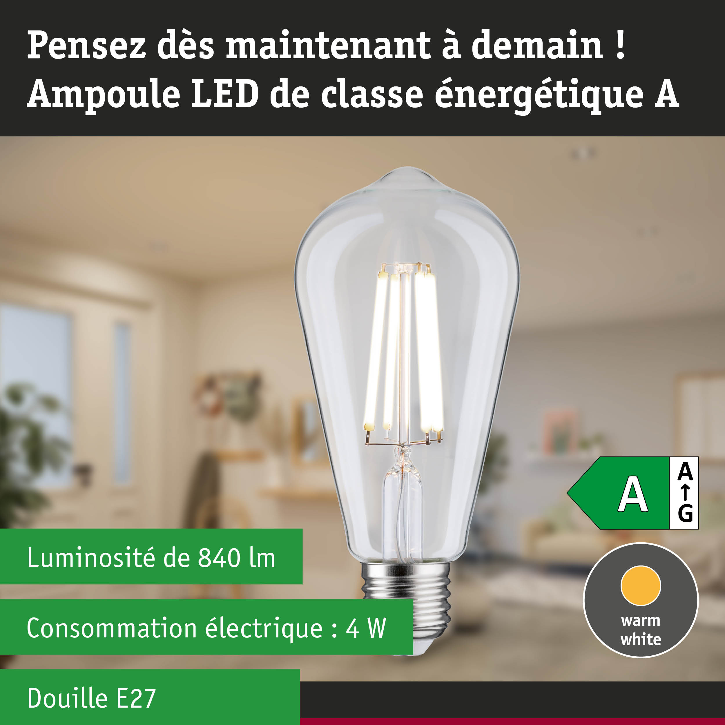 Ampoule LED claire avec lumière blanc chaud et ultra-efficace sur fond de forêt verte