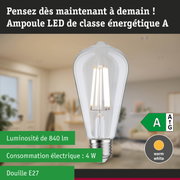 Ampoule LED claire avec lumière blanc chaud et ultra-efficace sur fond de forêt verte