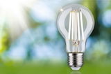 Classic LED light bulb with clear glass and silver base against blurred natural background