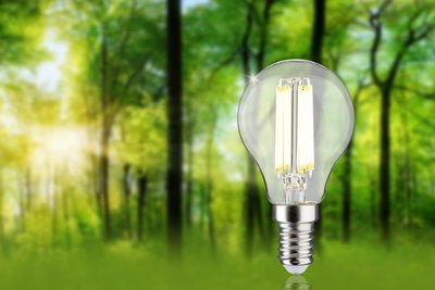 Clear glass LED bulb with E14 base in front of green forest background for energy-saving lighting