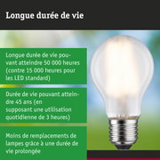 Ampoule LED avec durée de vie 3,5 fois plus longue que les lampes traditionnelles, éclairage durable