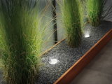 Luminaires LED encastrés en acier inoxydable éclairent un lit de gravier avec herbes vertes, éclairage moderne et économique