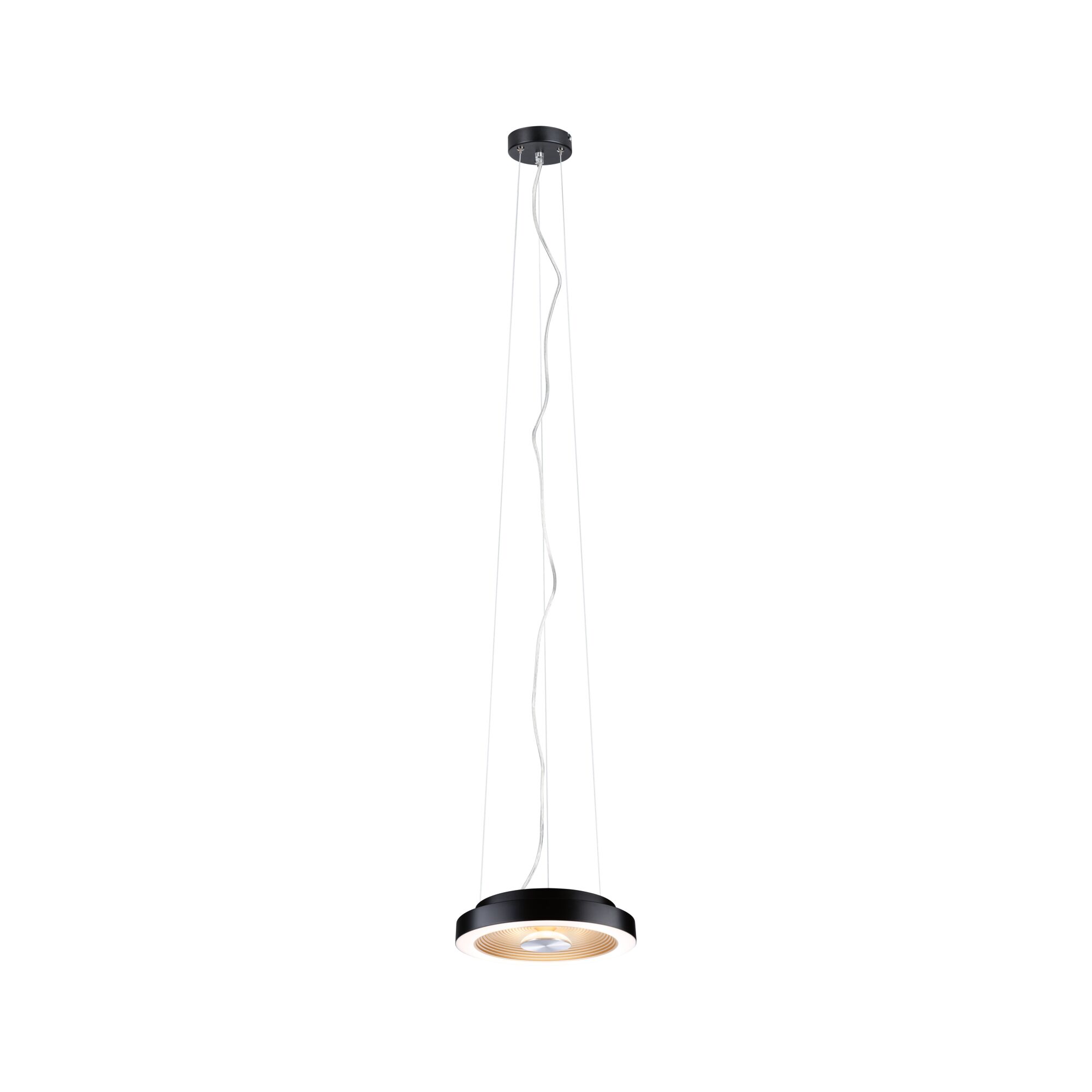 Modern black LED pendant light with round shape and warm white light for stylish room illumination