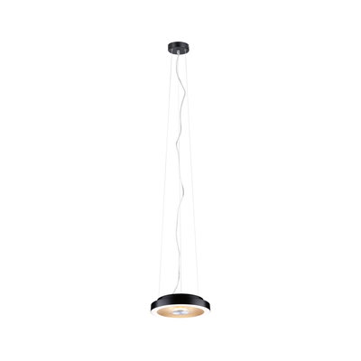 Modern black LED pendant light with round shape and warm white light for stylish room illumination