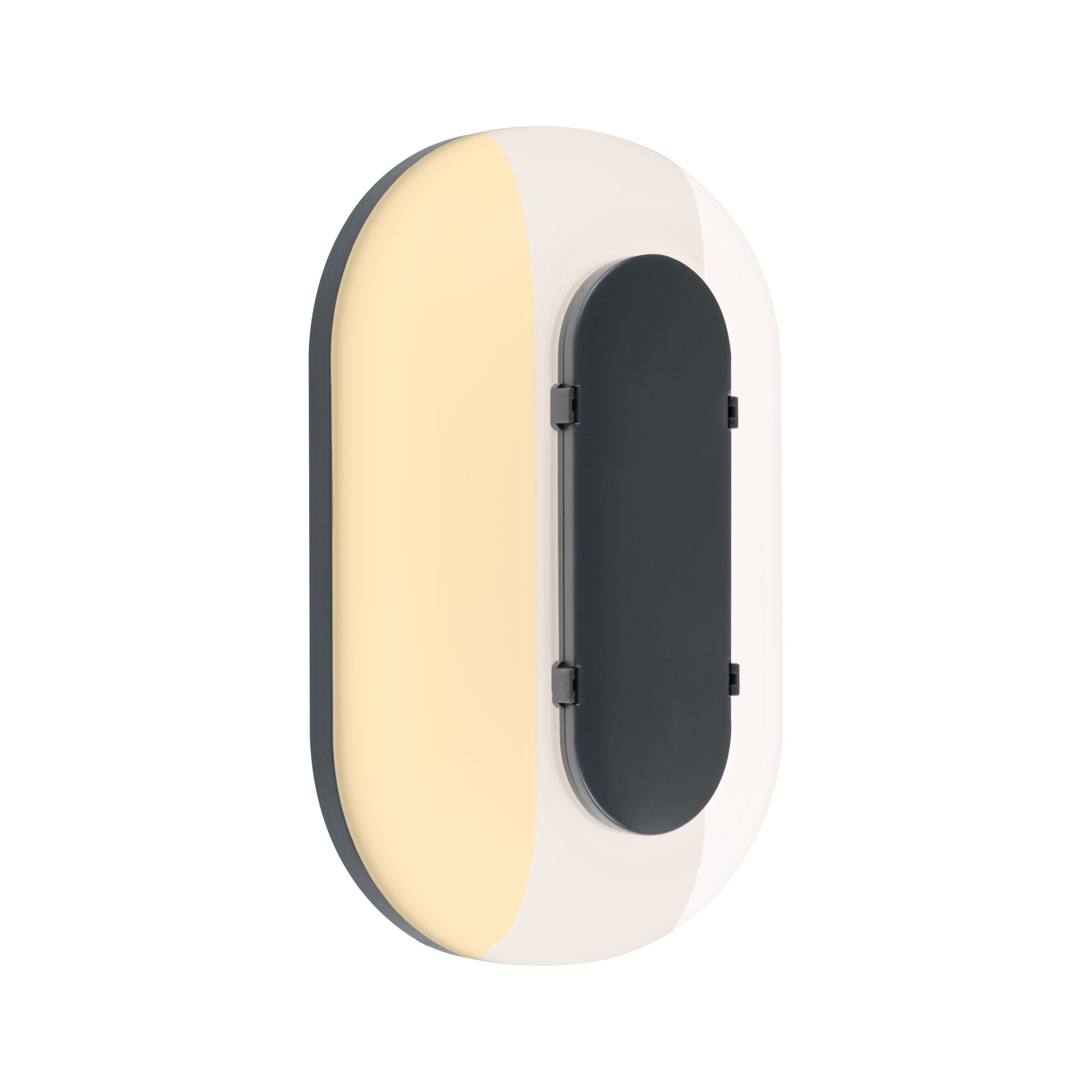 LED Exterior wall light Elunor IP65 elongated 122x212mm 2200 - 4000K 18,5W 1460lm 230V Anthracite/White Polycarbonate