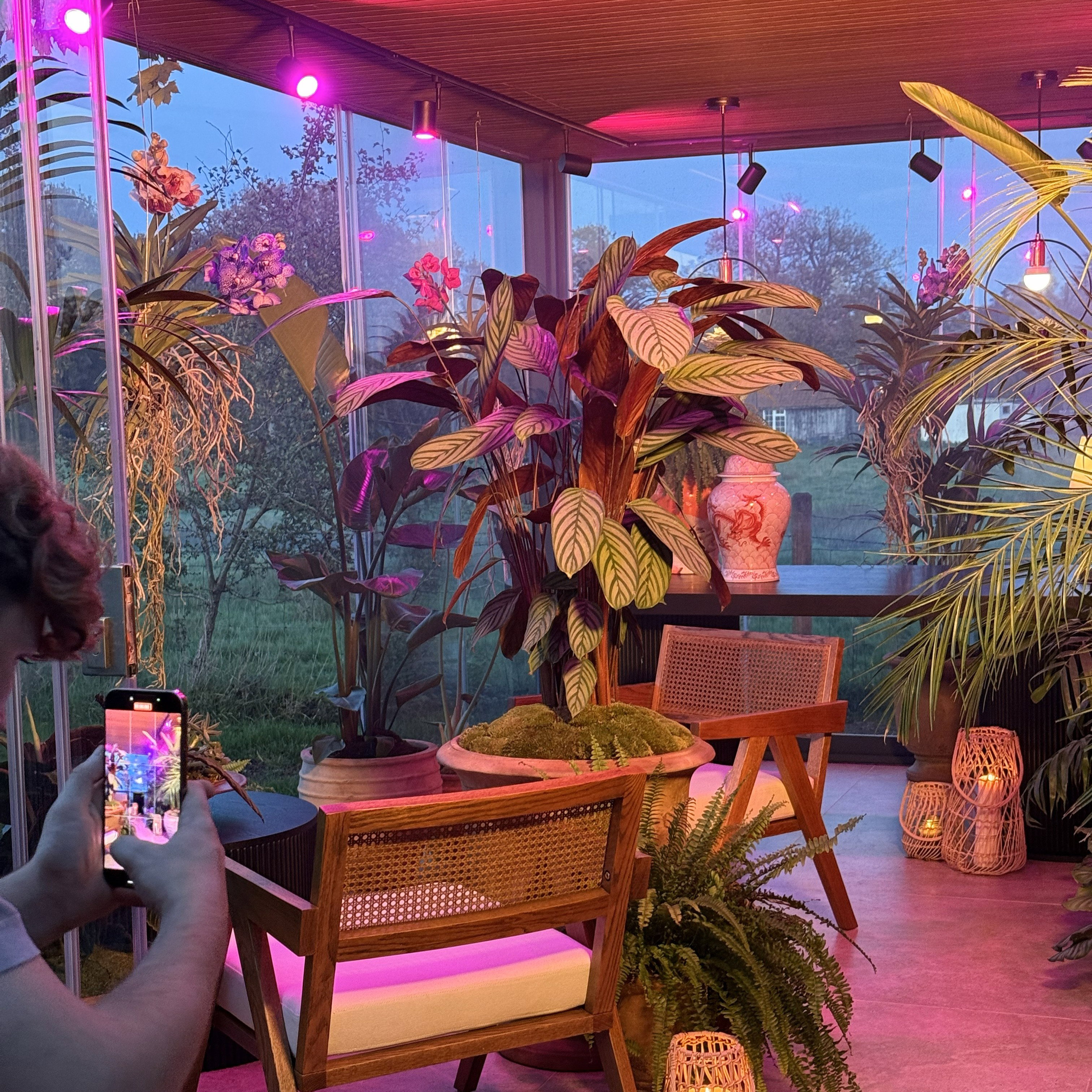 Jack Kinsey photographs his conservatory, which is filled with tropical plants and equipped with the URail system.