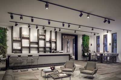 Modern living room with black track lighting and cozy grey armchairs on light carpet flooring