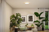 Round ceiling light with warm white LED in modern living room featuring green plants and seating.