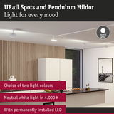 Modern white URail LED spotlights on ceiling in kitchen with wood panel wall and neutral white light