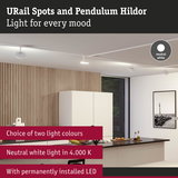 Modern white URail LED spotlights on ceiling in kitchen with wood panel wall and neutral white light