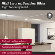White URail Spots and Pendulum Hildor LED ceiling lights in modern kitchen with wood panel wall