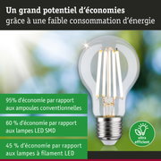 Ampoule LED économique à verre transparent et base argentée pour un éclairage efficace et écologique