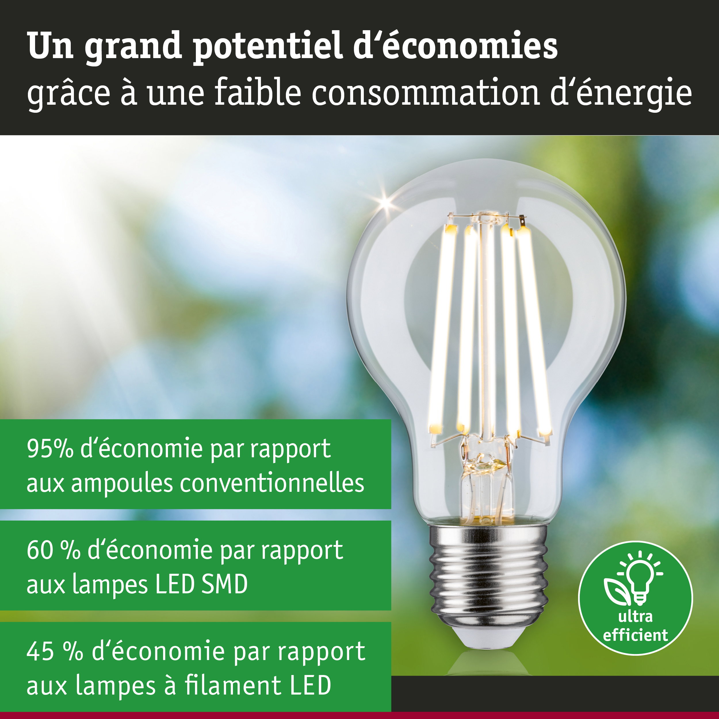 Ampoule LED économique à verre transparent et base argentée pour un éclairage efficace et écologique