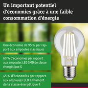 Ampoule LED économique à verre transparent et base argentée pour un éclairage efficace et écologique