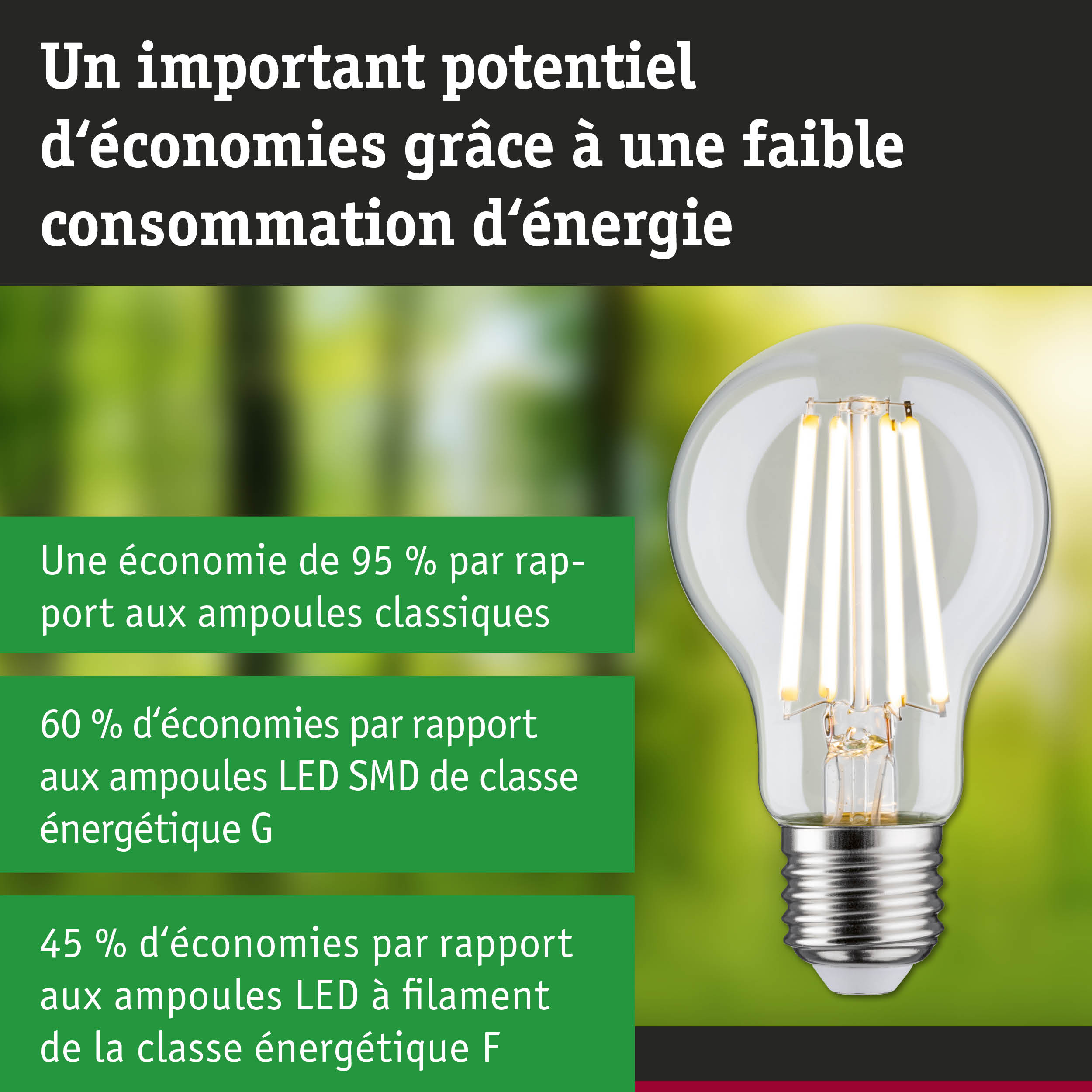 Ampoule LED économique à verre transparent et base argentée pour un éclairage efficace et écologique