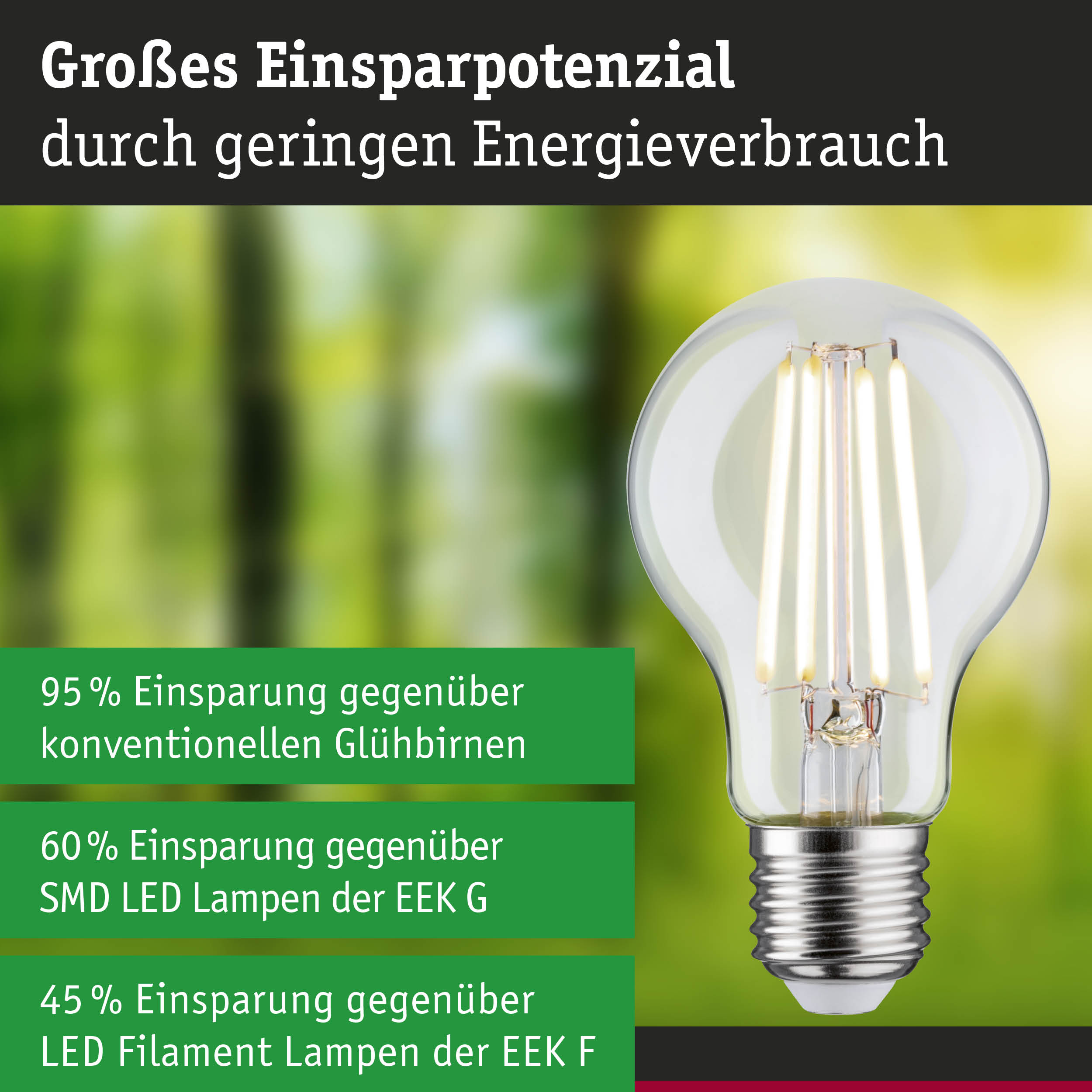 Efficient-Line Filament 230V LED Birne E27 1er-Set 525lm 2,5W 4000K Klar