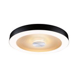 Rund loftlampe med sort metalramme og varmt hvidt lys til moderne boligbelysning