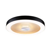 Round ceiling light with black metal frame and warm white light for modern home lighting