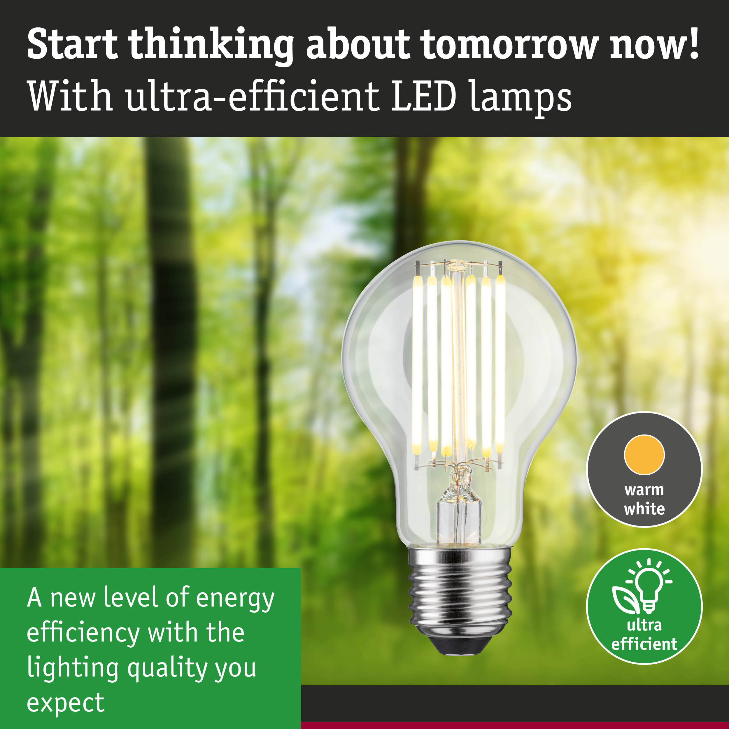 Energy-efficient LED bulb with warm white light shown against a green forest background