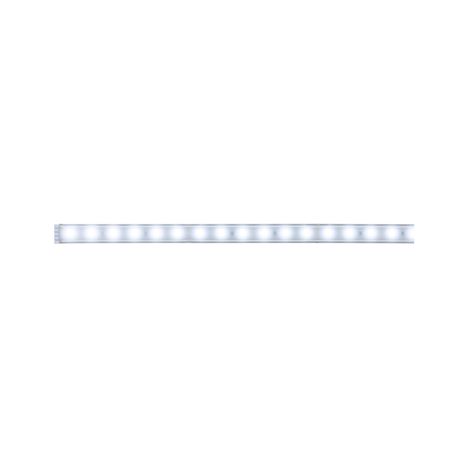 MaxLED 500 LED Strip Daylight white Individual strip 1m protect cover IP44 6W 440lm/m 6500K