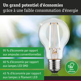 Ampoule LED économique en verre transparent avec base métallique, solution d'éclairage ultra efficace