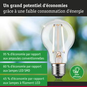 Ampoule LED transparente avec culot E27 et technologie économique sur fond vert-bleu